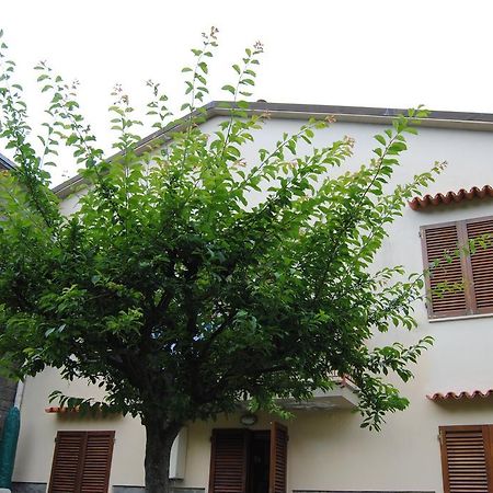 Il Susino Tirrenia Exterior foto
