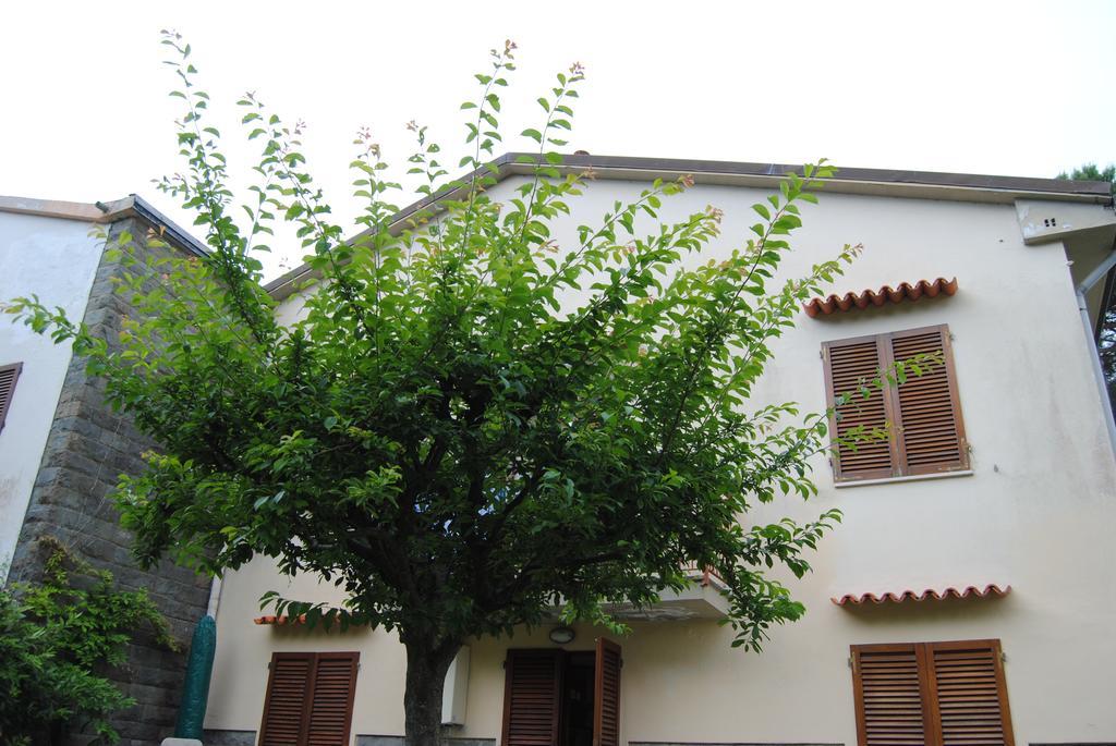 Il Susino Tirrenia Exterior foto